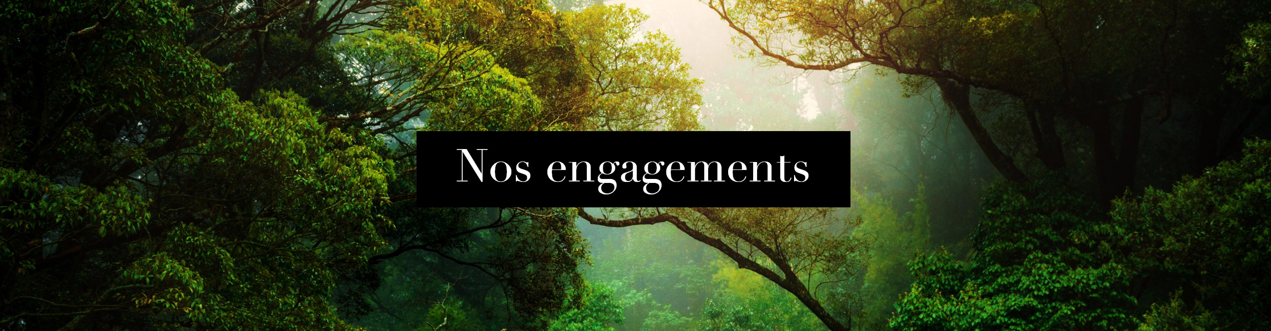 Rubrique Nos engagements