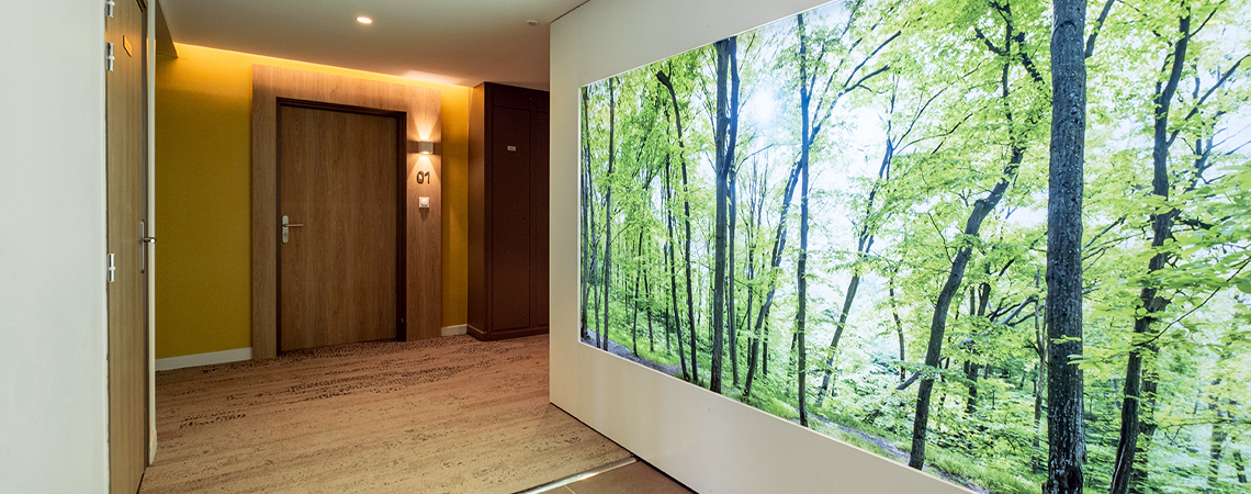 Couloir d'hotêl, caisson lumineux avec visuel de forêt.